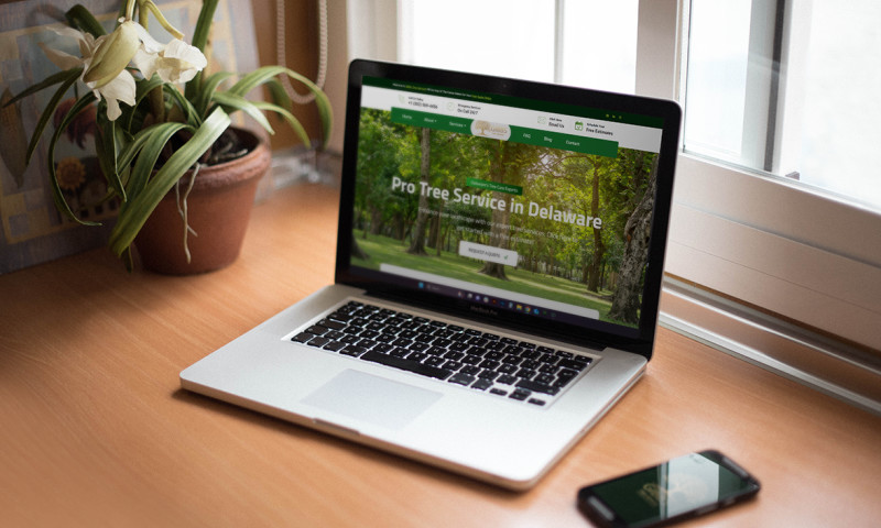 Gibbs Tree Service: Digital Transformation & SEO Dominance