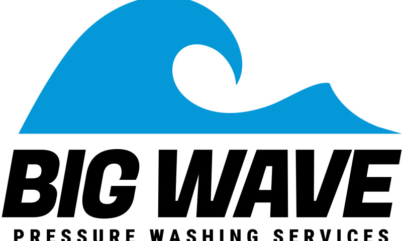 Big Wave Brand, Logo, Website