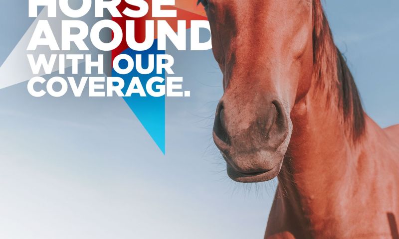 Texas Farm Bureau Proposal