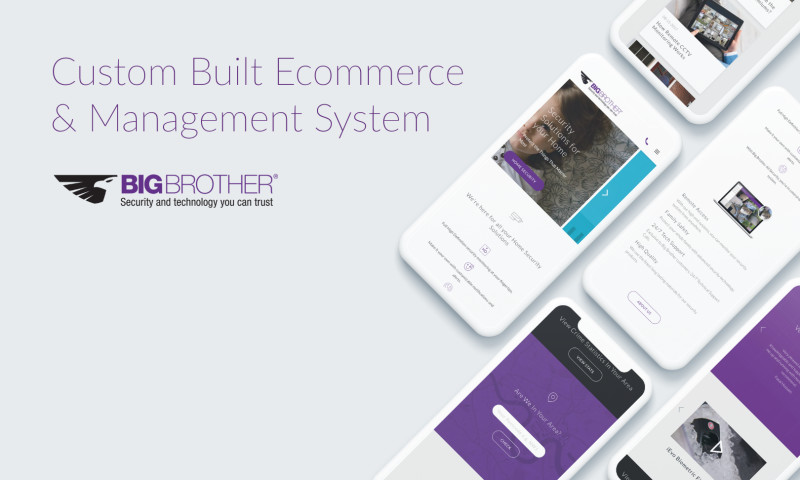 Big Brother Security - Web Design & Development