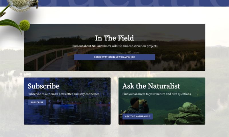 NH Audubon