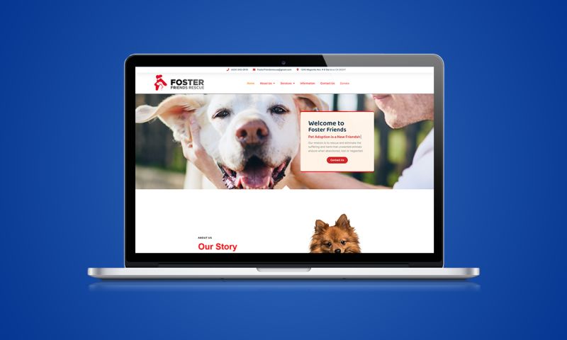 Foster Friends Rescue