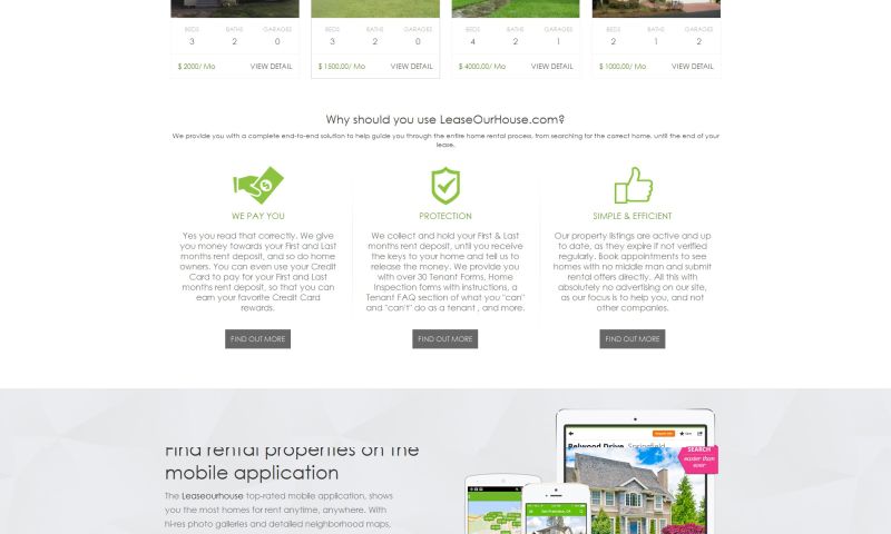 Website Design