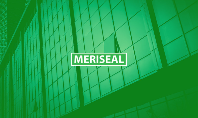 MERINT MERISEAL