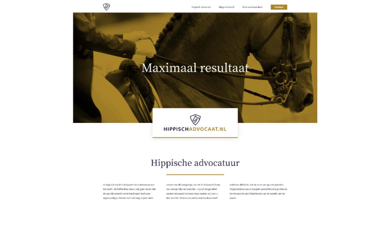 Corporate Website Lawyer