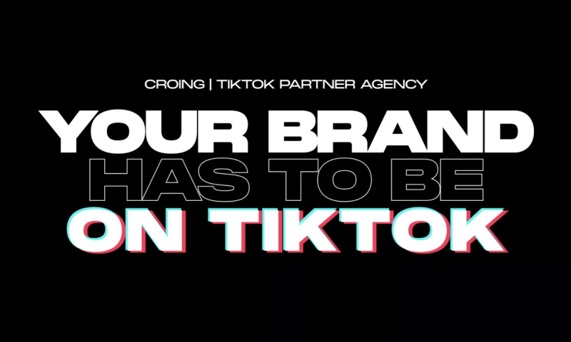 TikTok Partnership