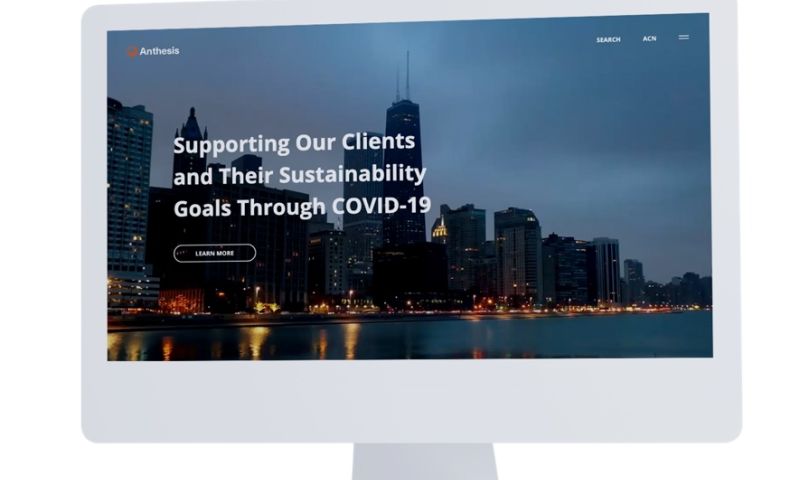 Anthesis Global