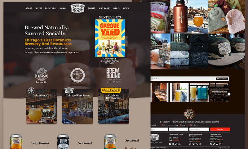 Website Redesign And Build