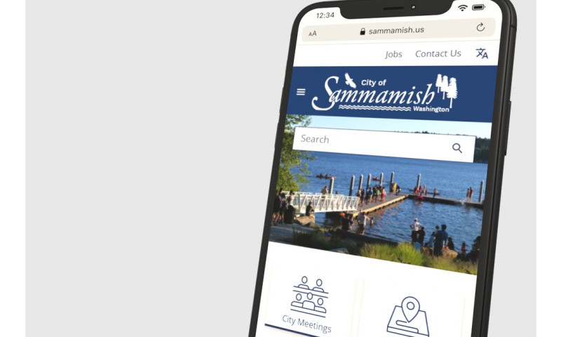 Website design
