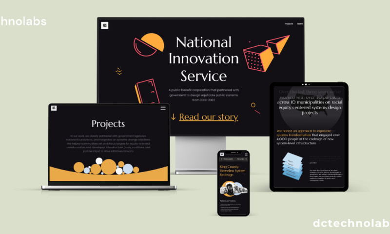 Web Development and Marketing for NIS