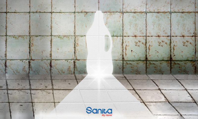 Sanita - Social Media Marketing
