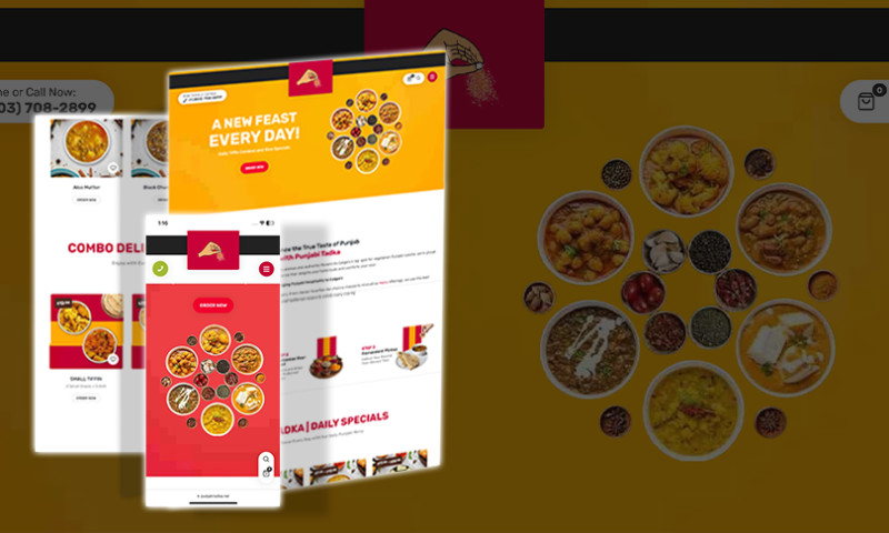 Website for Punjabi Tadka Tiffin Services