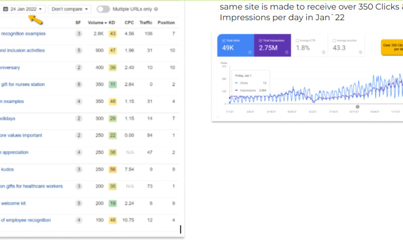 SAAS SEO - Case study