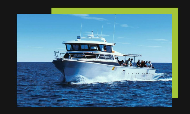Absolute Ocean Charters