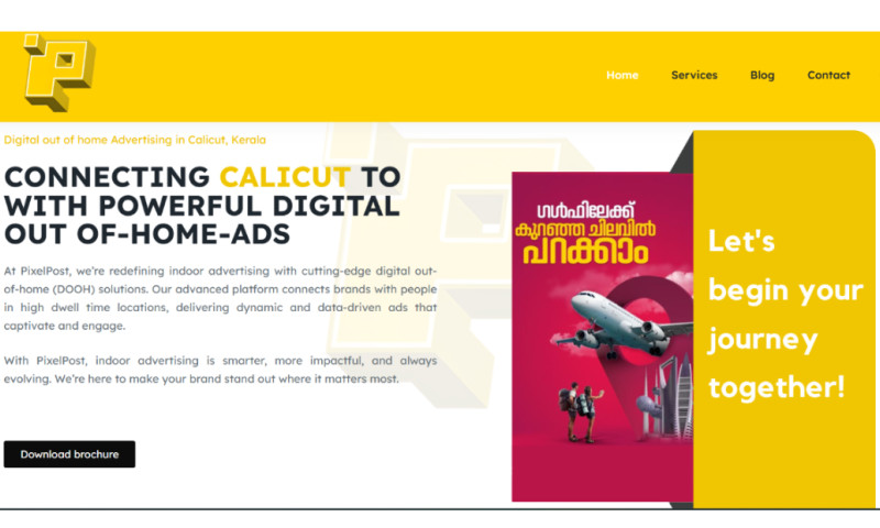 Web development
