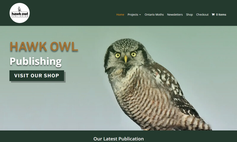 Ecommerce Website