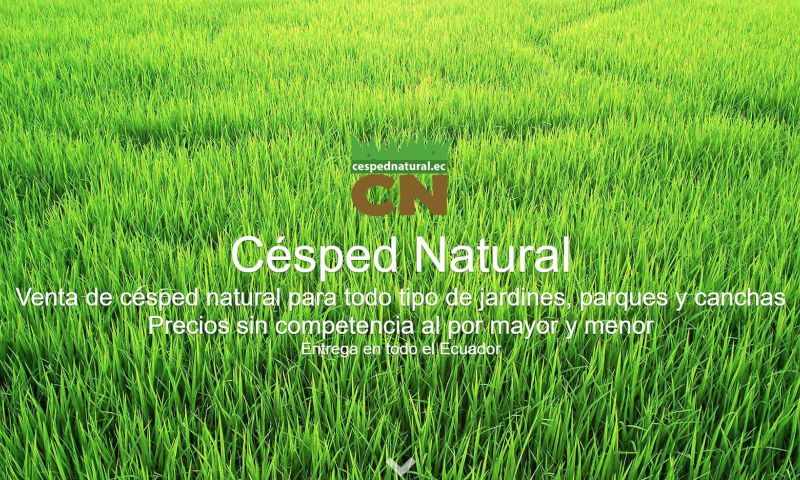 Césped Natural