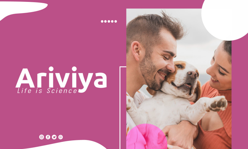 SMM Design for pet shop