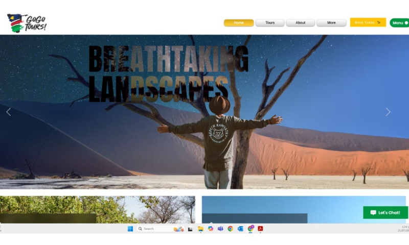 GoGo Tours Website