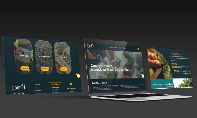 Web Design
