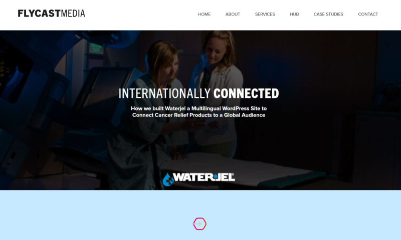 A Significant Boost In Sales Worldwide With A Multilingual, Multicurrency Wordpress Design
