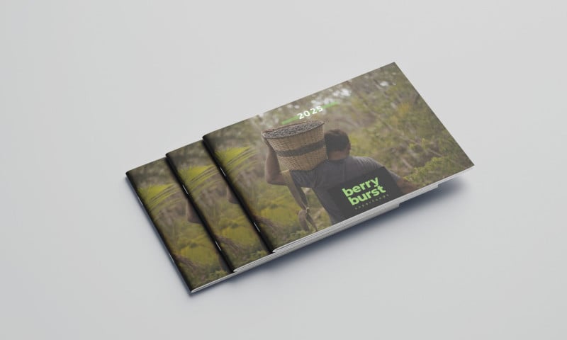 Berry Burst: Product Brochure