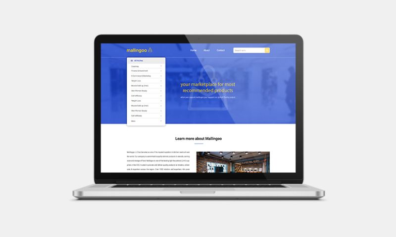 Website development Services for Affiliate Marketing business