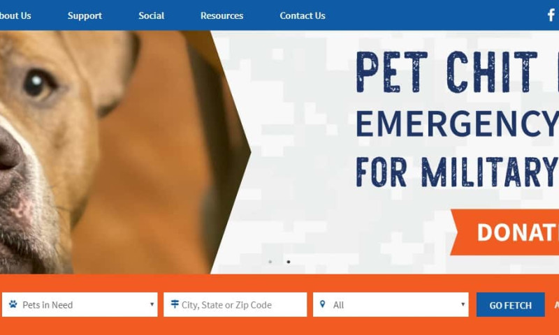 Dogs on Deployment
