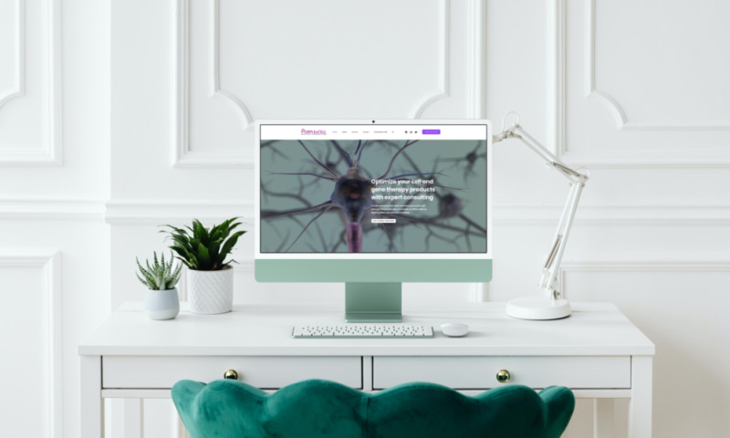 PURPLEXCELL CONSULTING