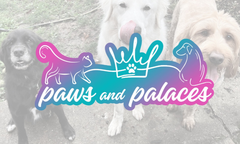 Paws and Palaces - New Brand Design