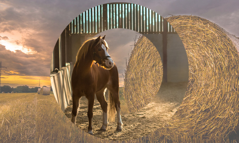 M&T Haylage