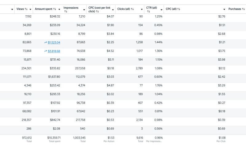 How We Achieved 8× ROAS for an AI Token Presale