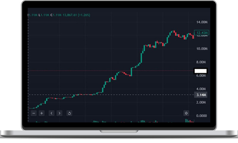 How Top Memecoin Went Viral: From $150K to $12M