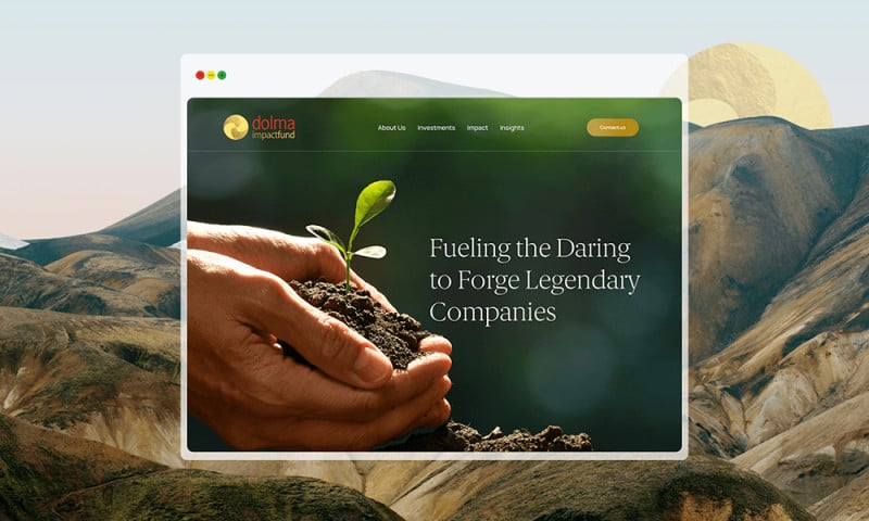 Dolma Fund Management
