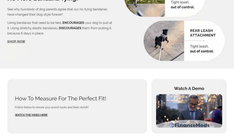 Shopify store development for waggy