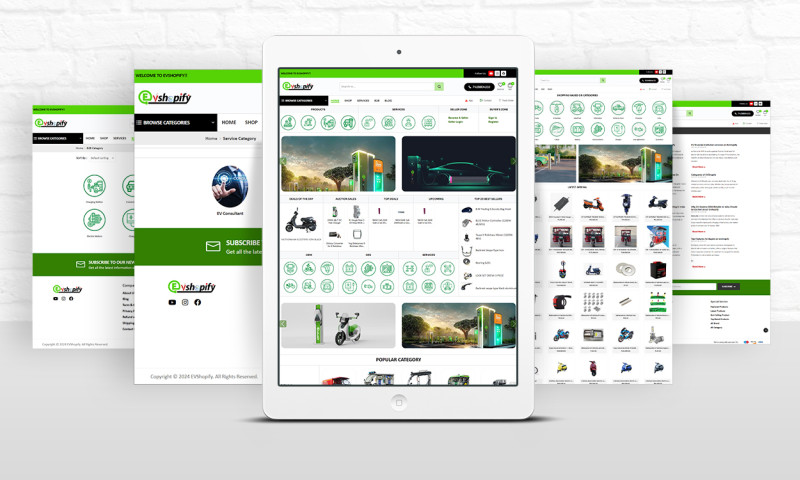 EV Consultant & Workshop Website
