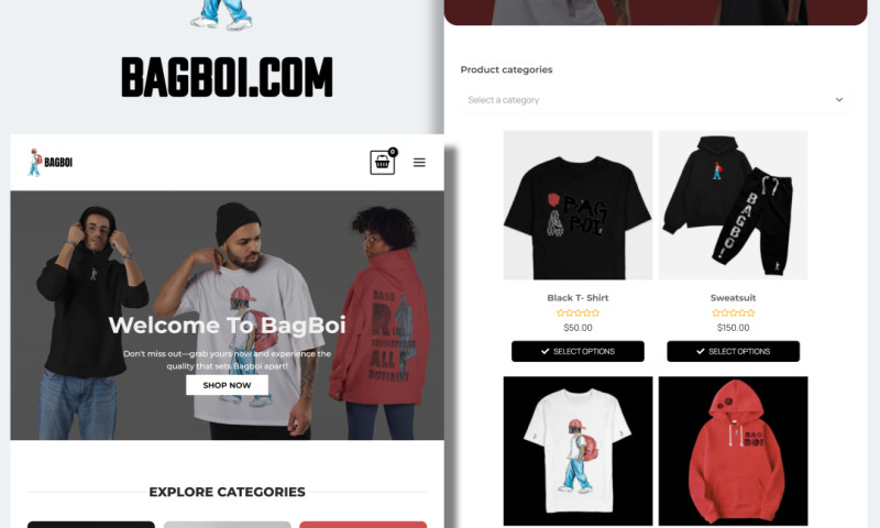 E commerce Website