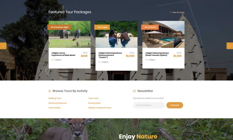 Travel and Tour Website