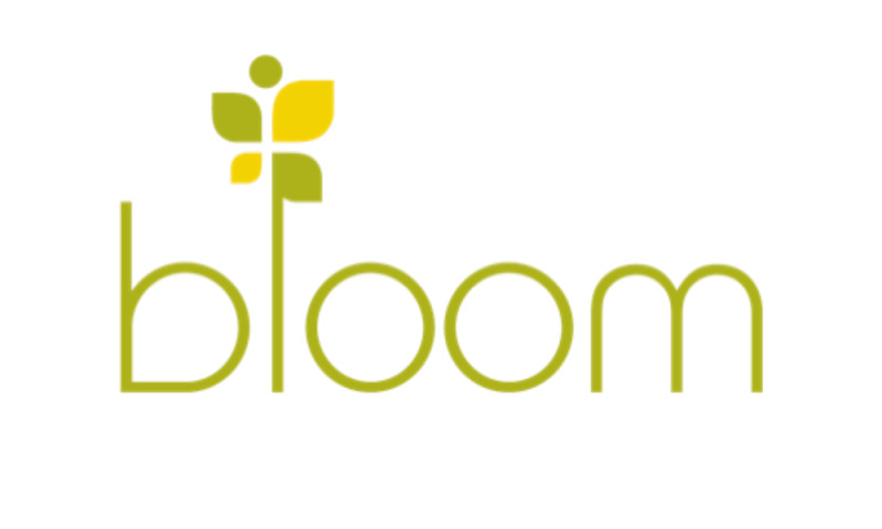 Transforming Digital Outreach for Bloom Non-Profit