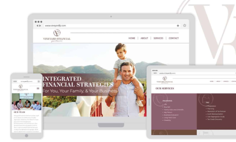 Vineyard Financial Partners