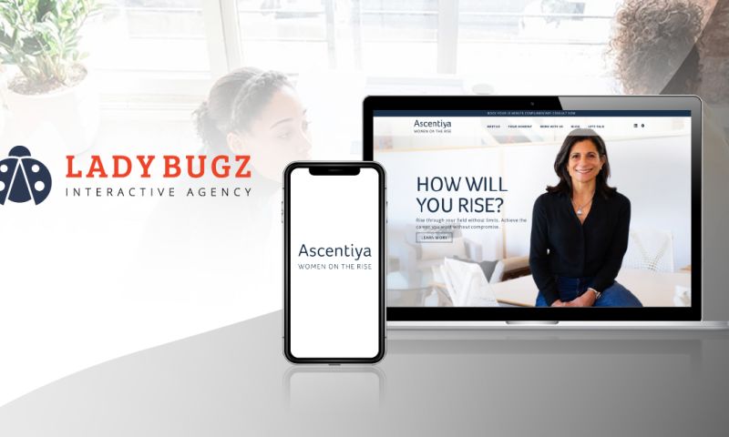 DE+I Coach Website