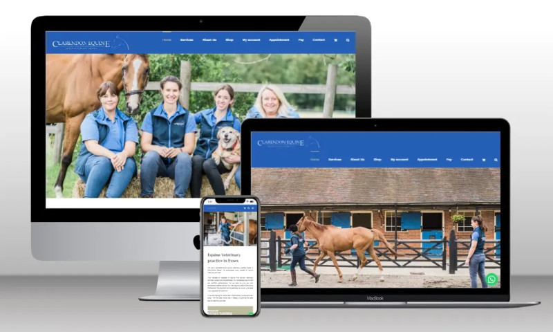 Clarendon Equine