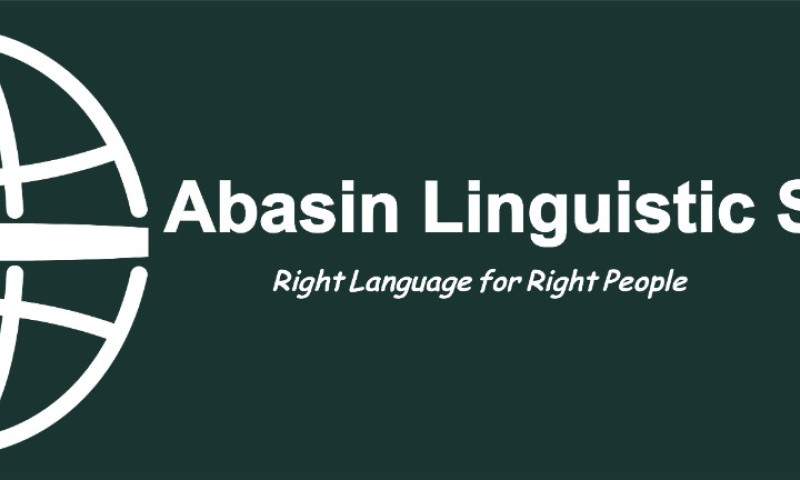 Abasin's Website