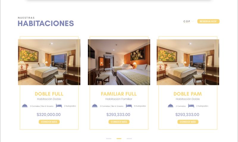 Website Design + Mobile Version