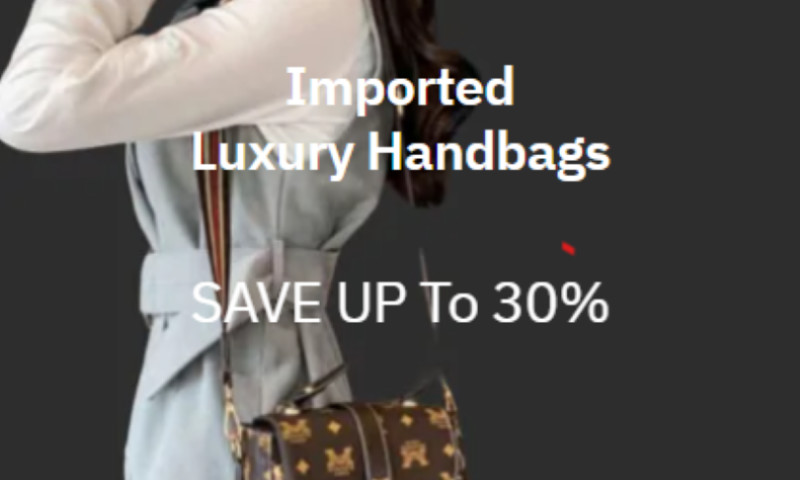 Women Handsbag