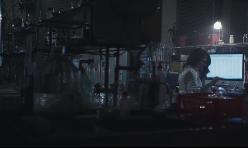 Video - Support talents