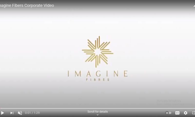 Corporate Video