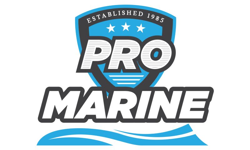Pro World Logos