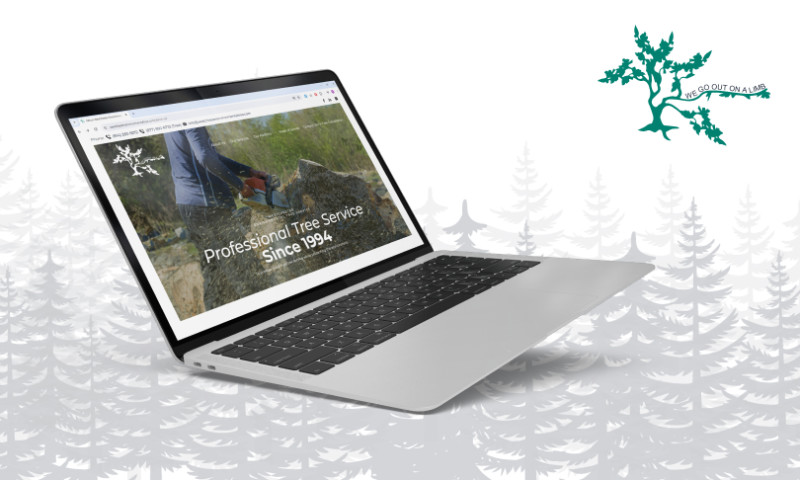 Westchester Environmental Tree Service