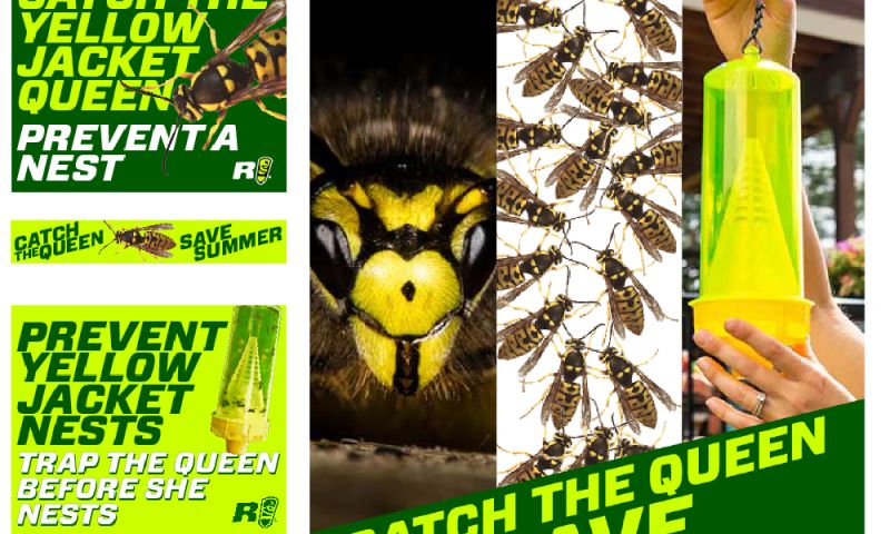 Digital Ads